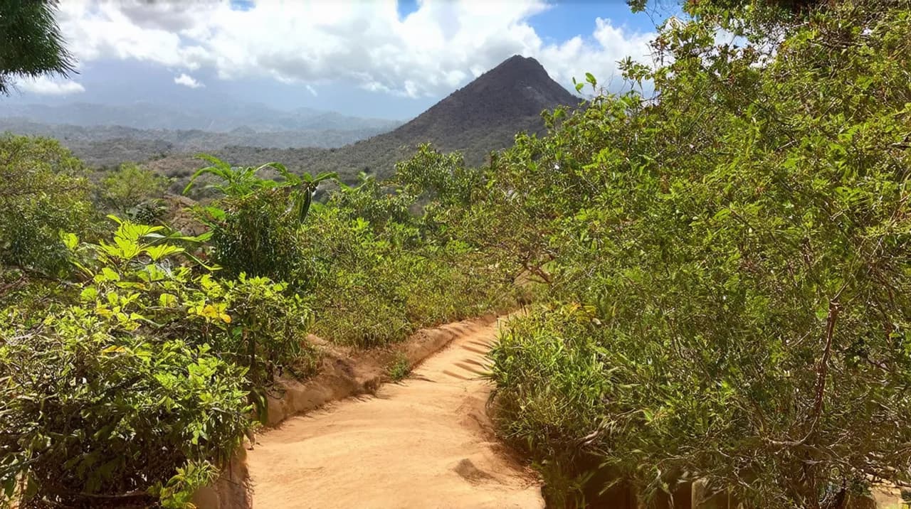 Alter do Chão 5-Day Itinerary: Explore Paradise