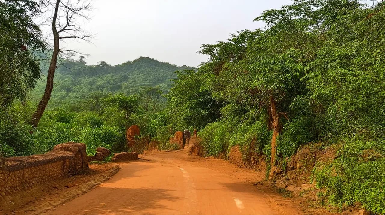 Bandipur 3-Day Itinerary: Explore the Scenic Beauty