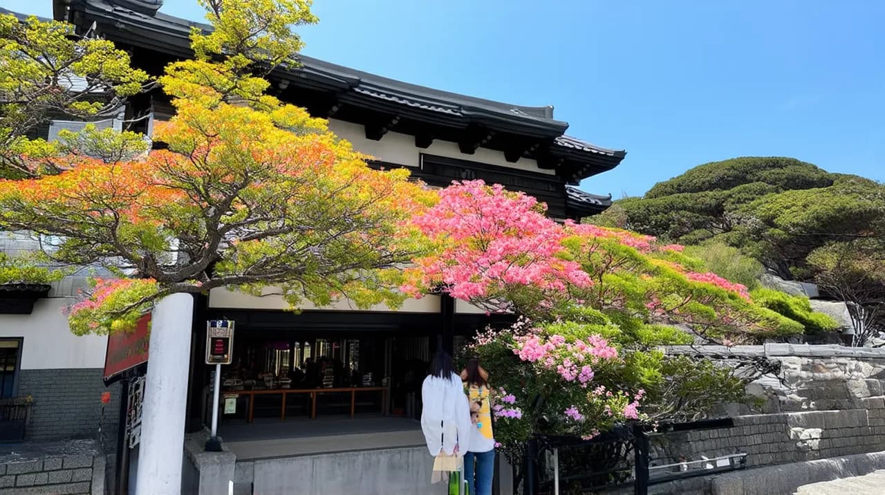 Beppu Travel Itinerary: Enjoy Japan’s Hot Springs