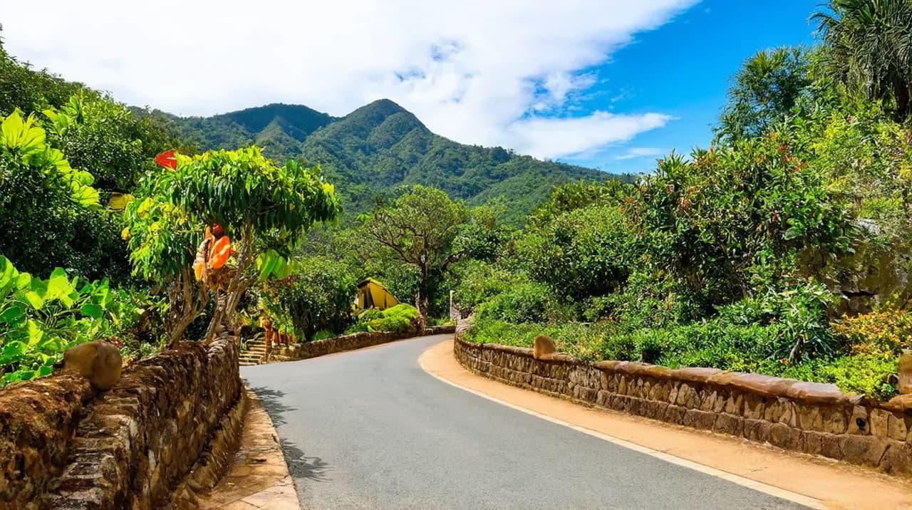 Boquete 5-Day Itinerary: Explore the Heart of Panama