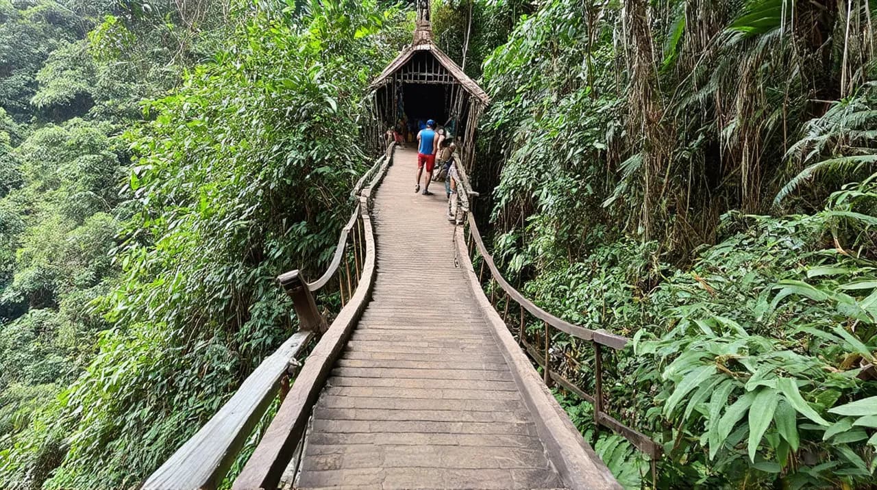 Bukit Lawang Travel Itinerary: Explore Jungle Adventures