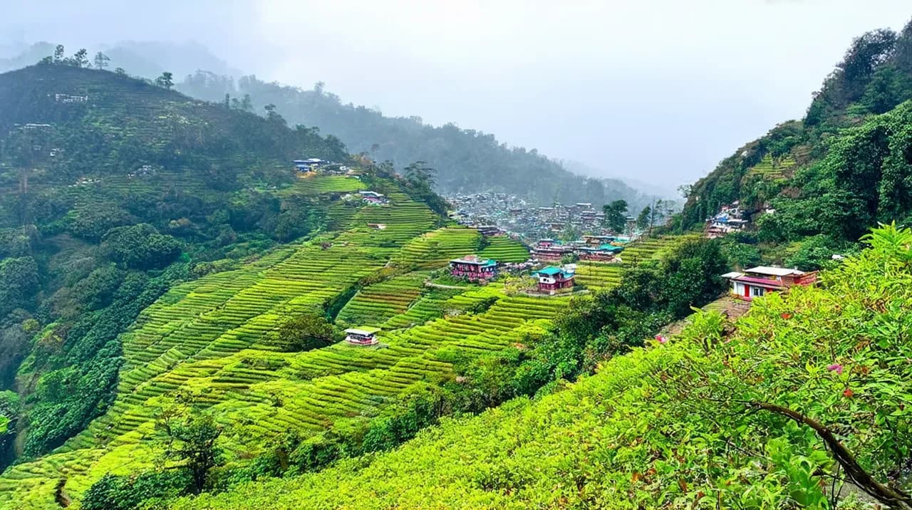 Darjeeling 3-Day Itinerary: Explore the Queen of Hills