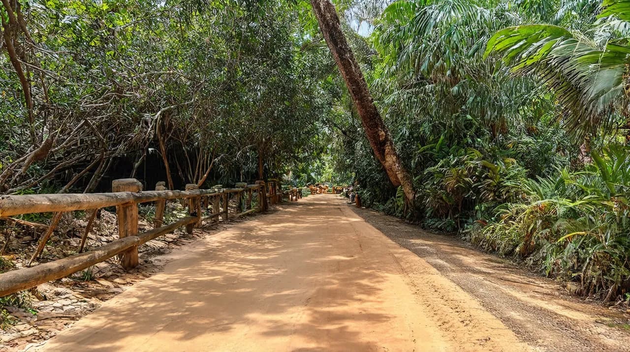 Jacó 5-Day Itinerary: Discover Costa Rica’s Coastal Paradise