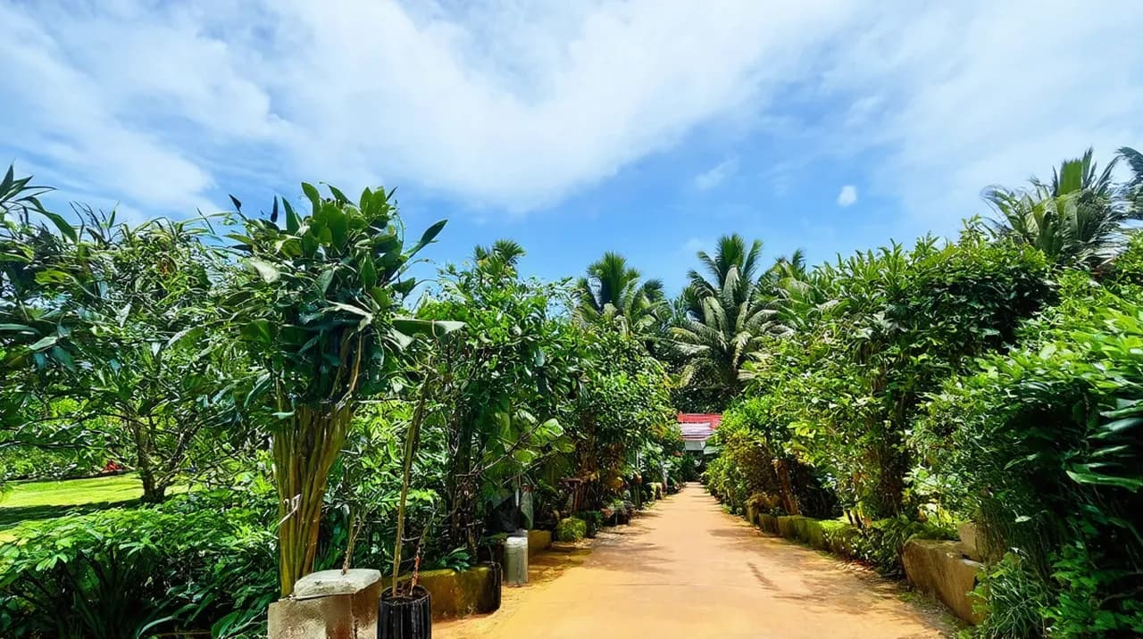 Kerobokan Weekend Itinerary: A Balinese Escape
