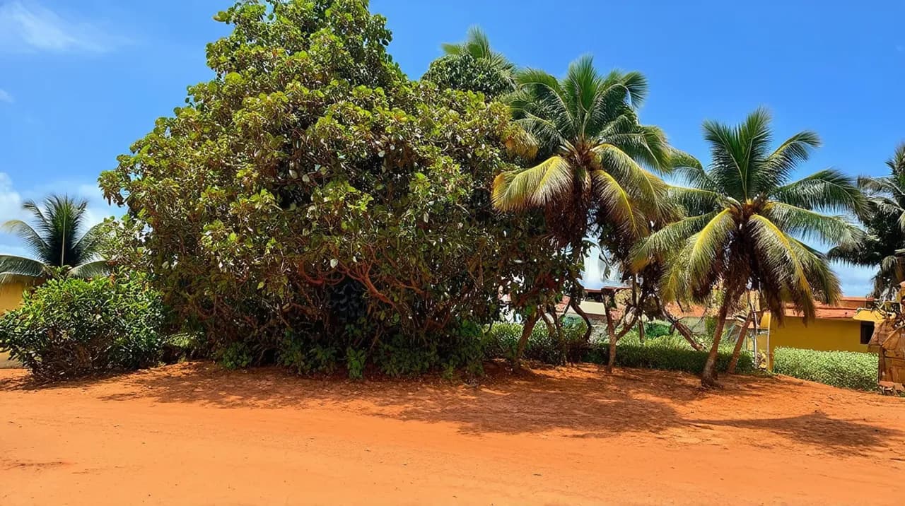 Malabo 5-Day Itinerary: Explore Equatorial Guinea