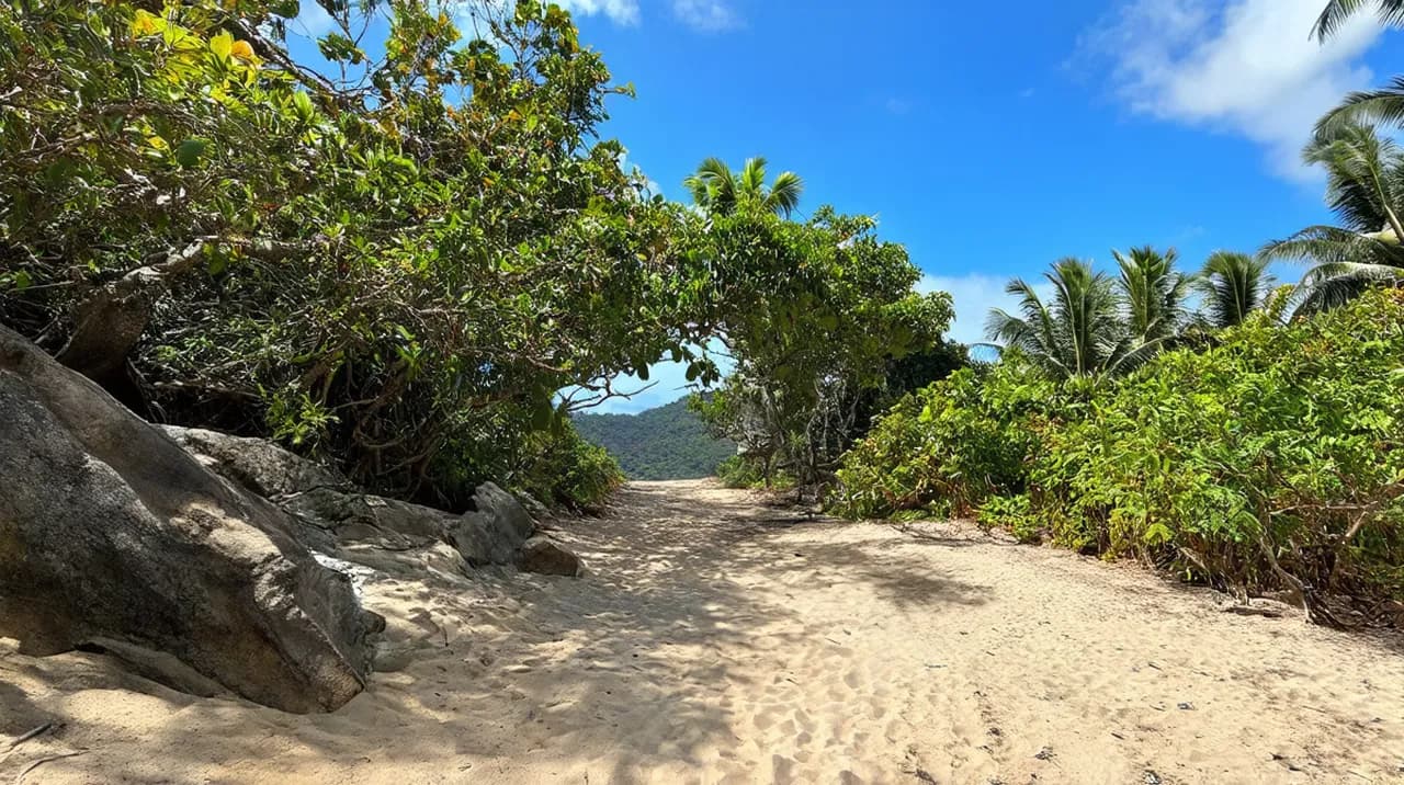 Montezuma Weekend Itinerary: Paradise Awaits You