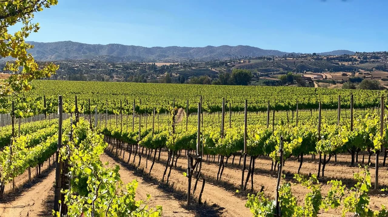 Napa Weekend Itinerary: Explore Wine Country