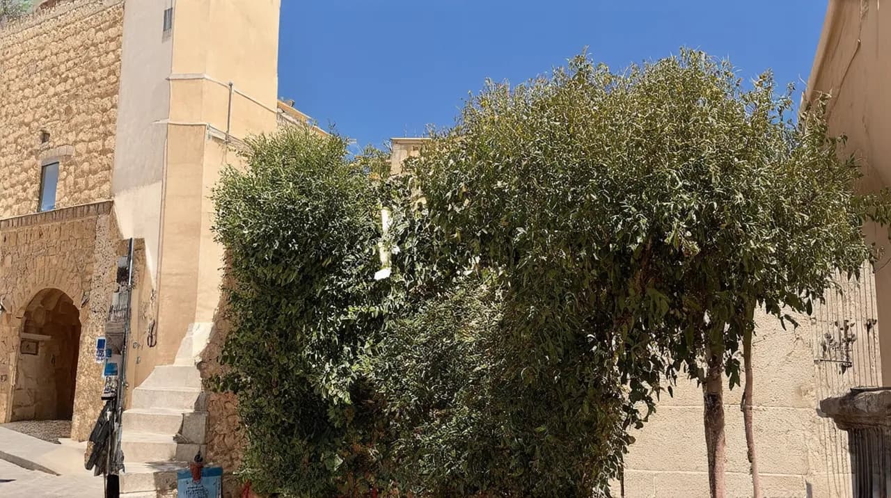 Nicosia (Lefkosia) Weekend Itinerary: Explore the Capital