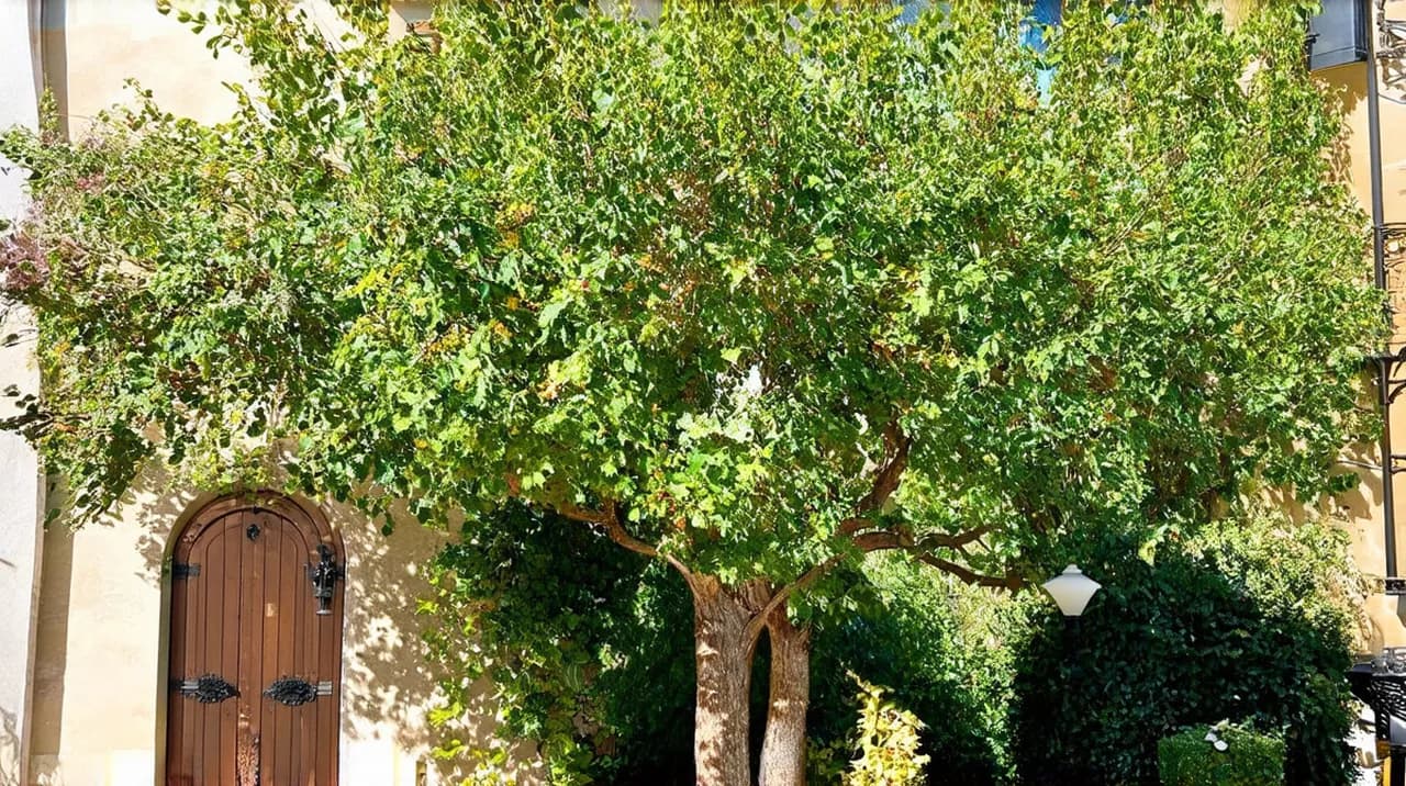 Ravenna Weekend Itinerary: Explore Italy’s Hidden Gem