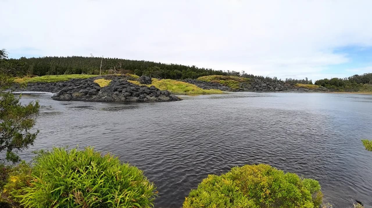 Rotorua 3-Day Itinerary: Experience Nature’s Wonders