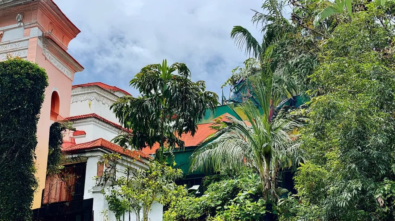 Xalapa Weekend Itinerary: Explore Mexico’s Cultural Gem