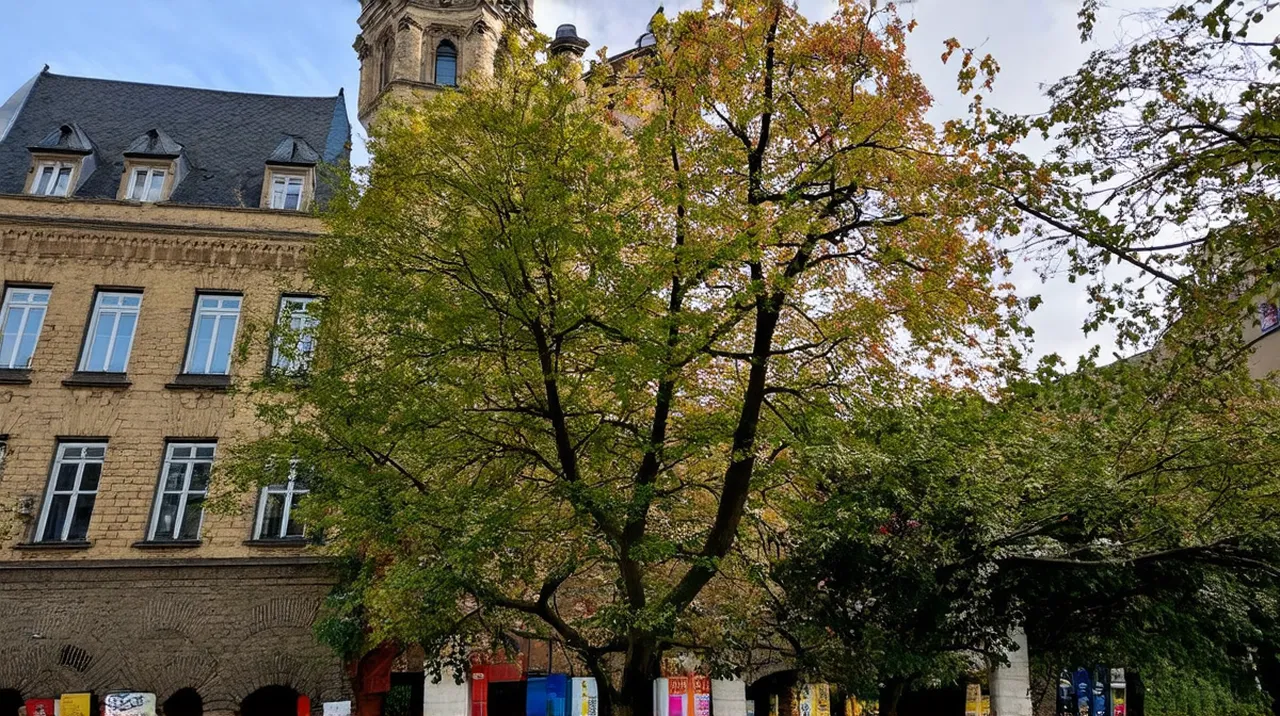 Aachen 3-Day Itinerary: Discover this Charming City