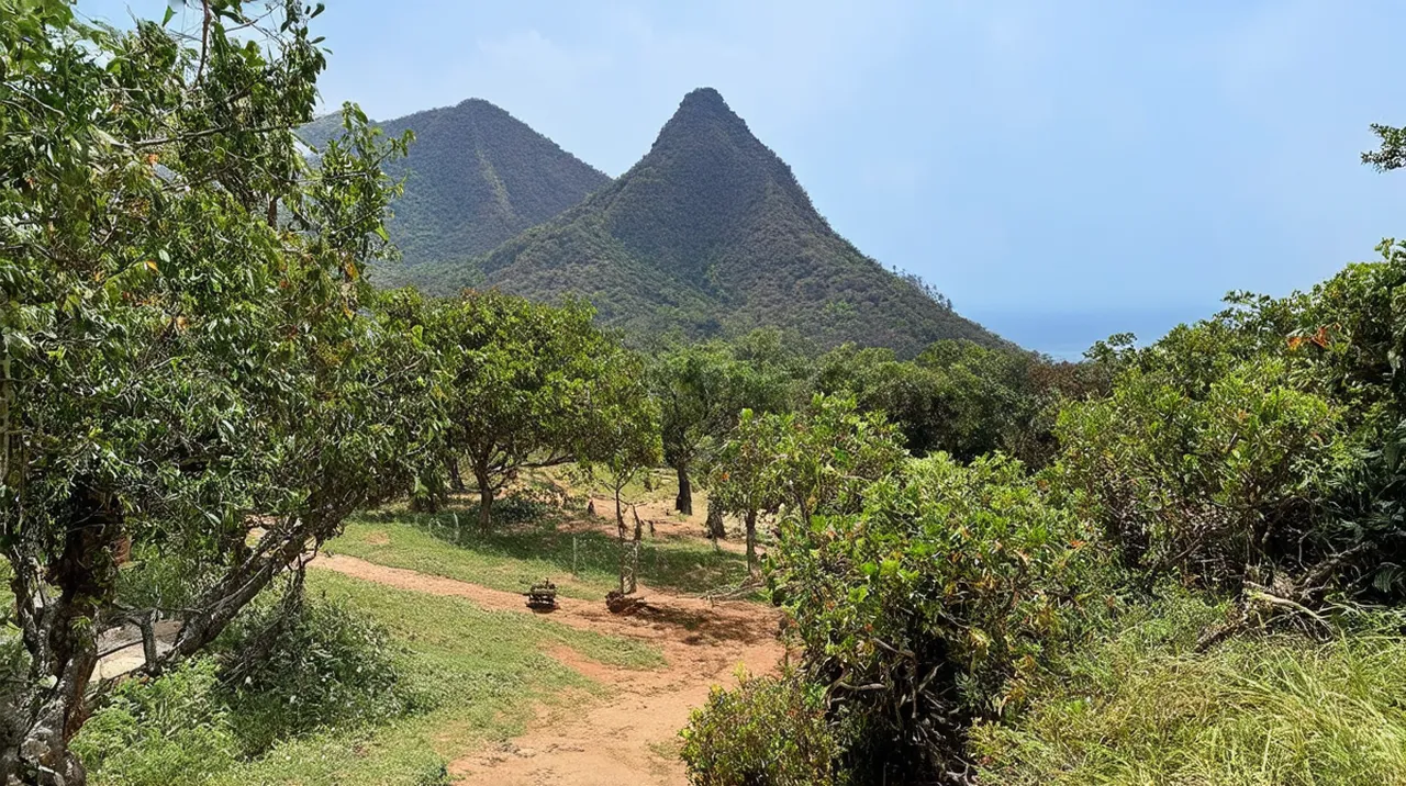 Alter do Chão Weekend Itinerary: Explore Amazon Paradise