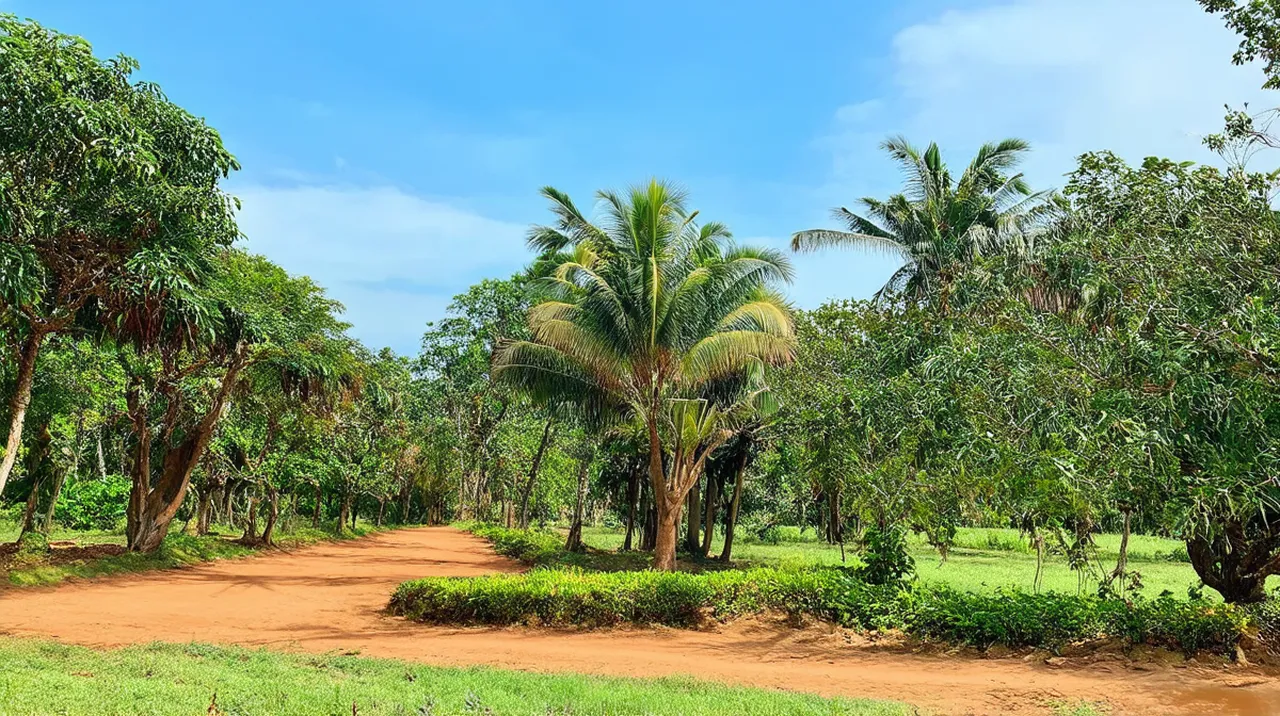 Brazzaville Travel Itinerary: Explore the Heart of Africa