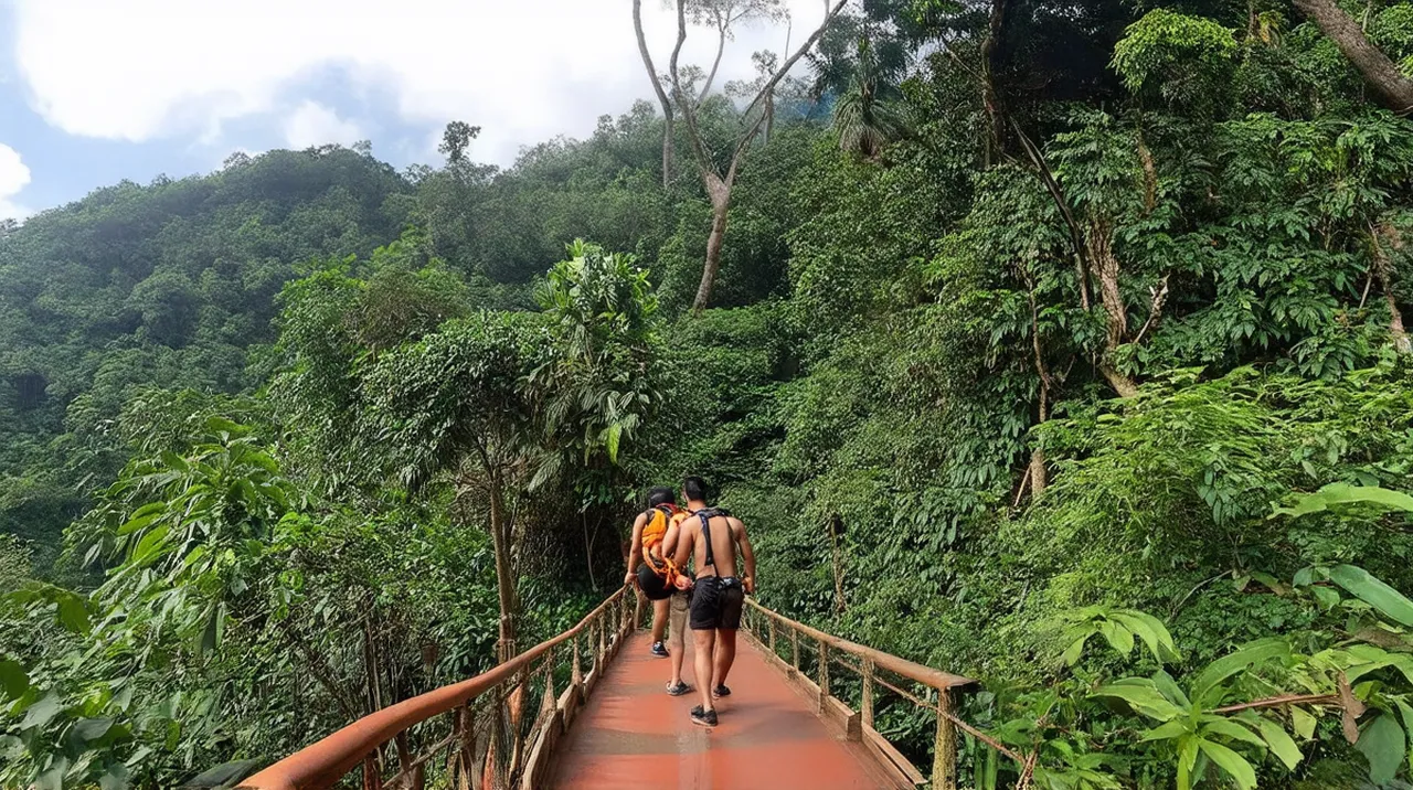 Bukit Lawang 3-Day Itinerary: Explore Sumatran Nature