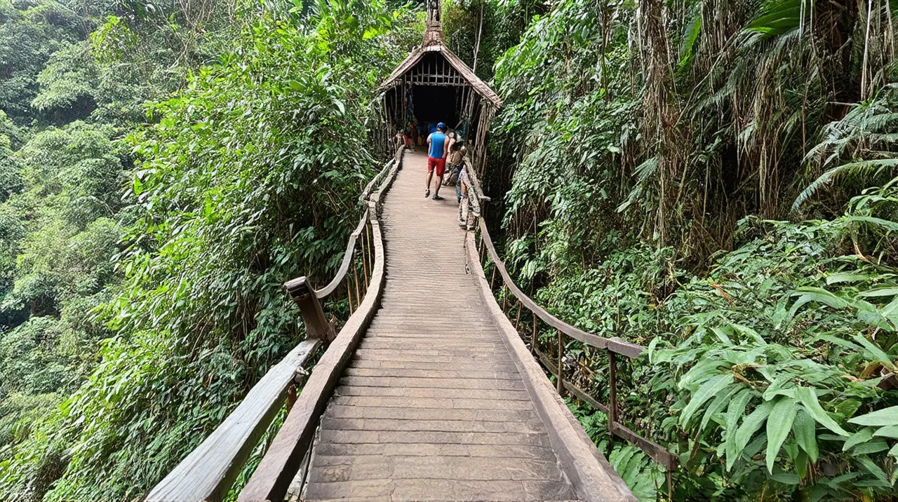 Bukit Lawang Travel Itinerary: Explore Jungle Adventures