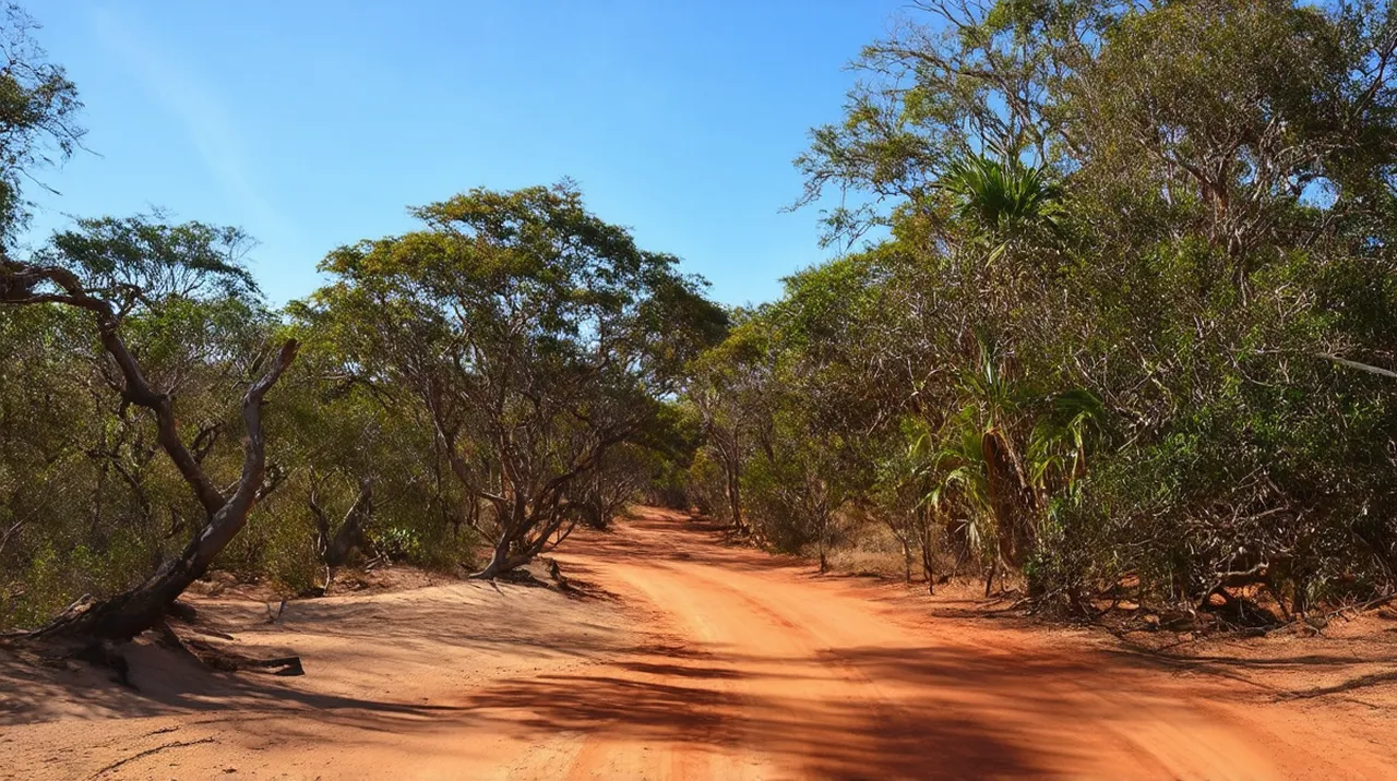 Darwin Weekend Itinerary: Unforgettable Adventures