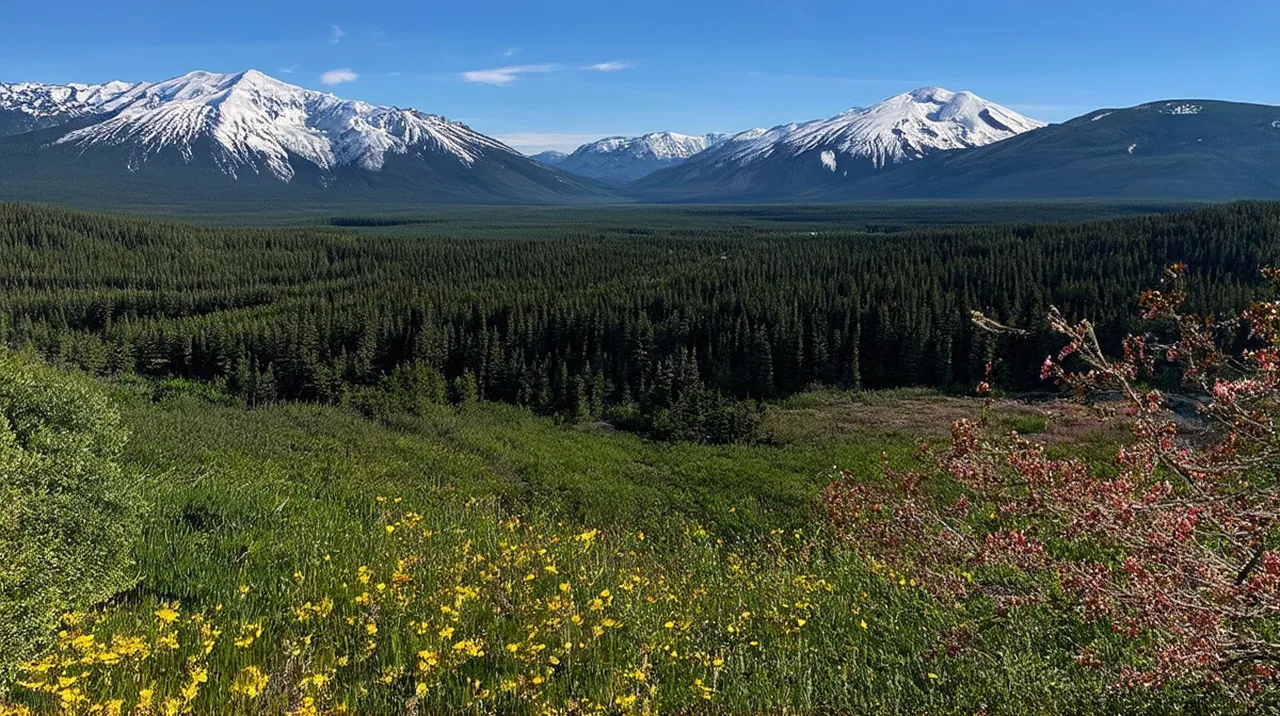 Fairbanks 3-Day Itinerary: Explore the Arctic Wonders