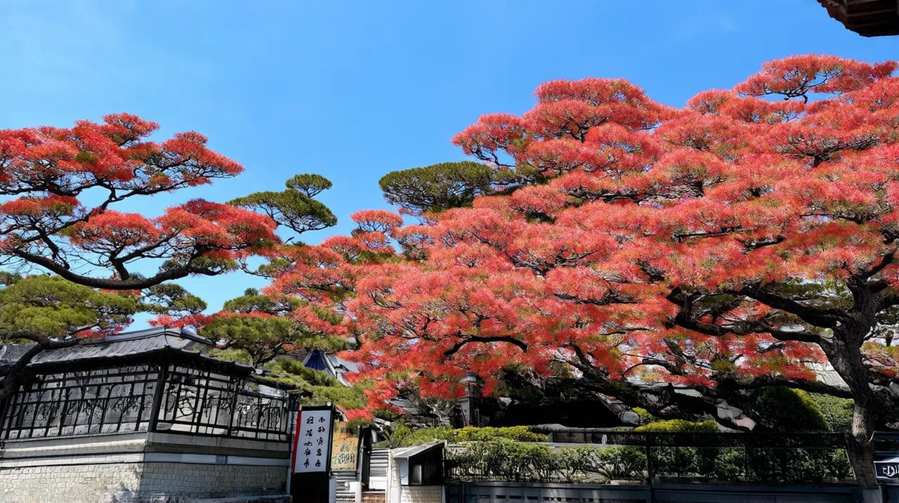 Fukuoka 5-Day Itinerary: Experience Japan’s Hidden Gem
