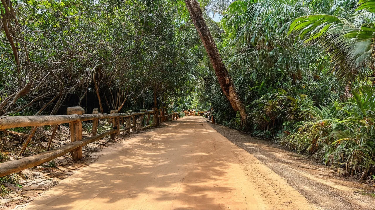 Jacó 5-Day Itinerary: Discover Costa Rica’s Coastal Paradise