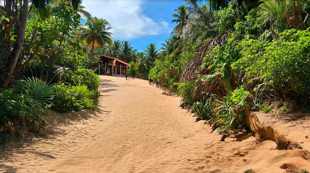 Jacó Weekend Itinerary: Your Beach Getaway Guide