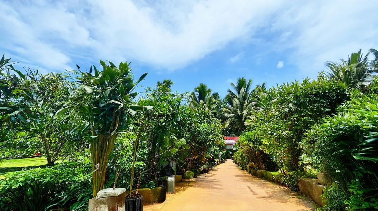 Kerobokan Weekend Itinerary: A Balinese Escape