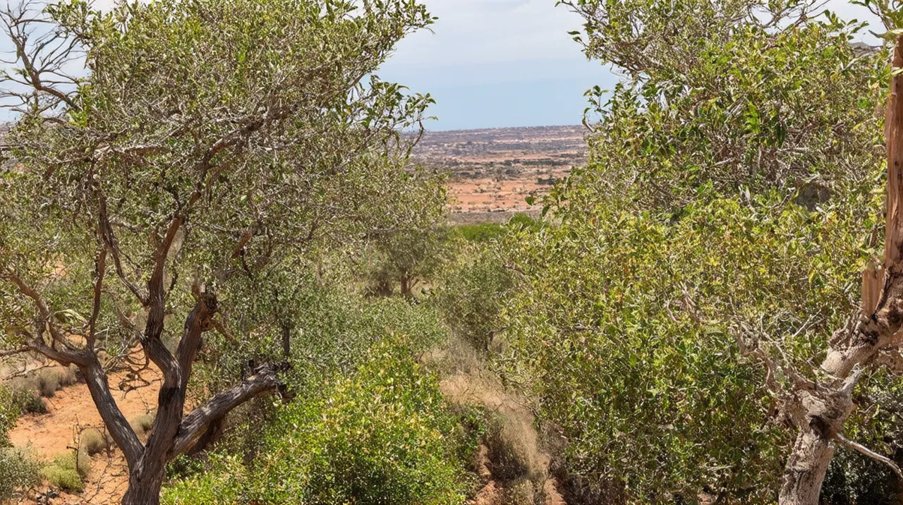 Marsala 5-Day Itinerary: Explore Sicily’s Hidden Gem