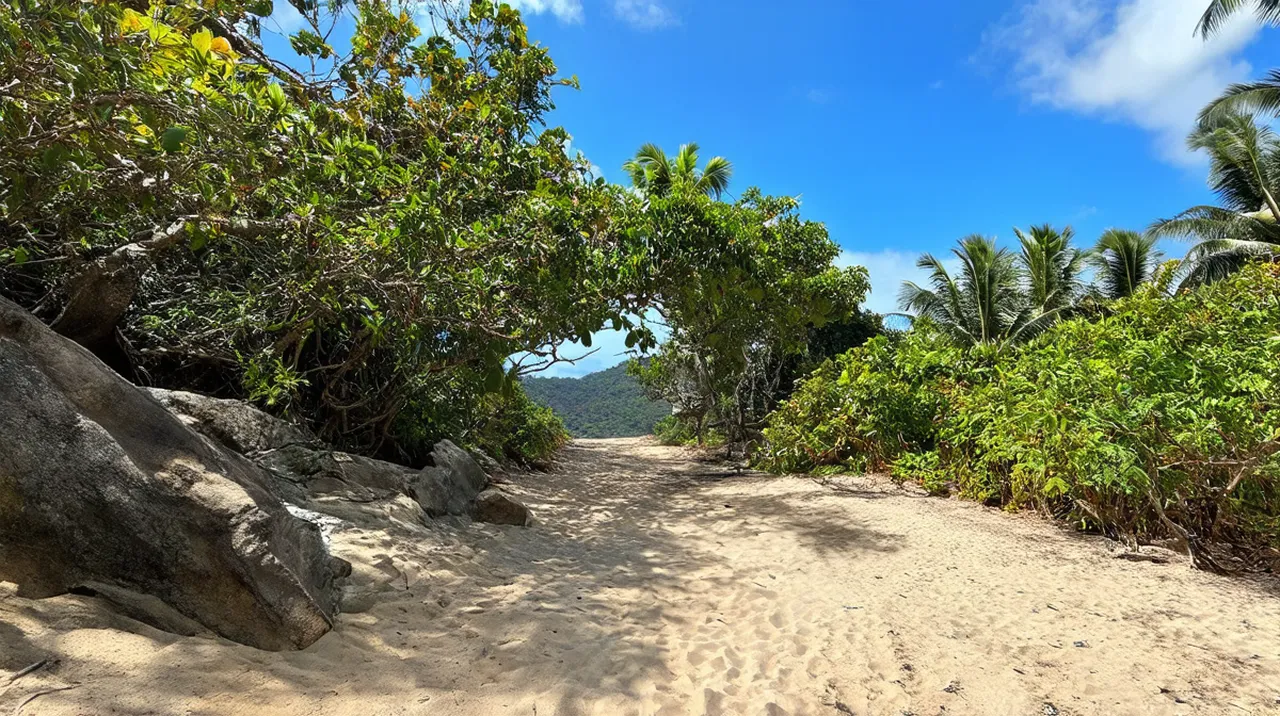 Montezuma Weekend Itinerary: Paradise Awaits You