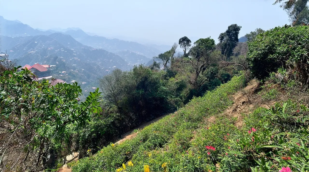 Mussoorie Weekend Itinerary: Your Perfect Getaway