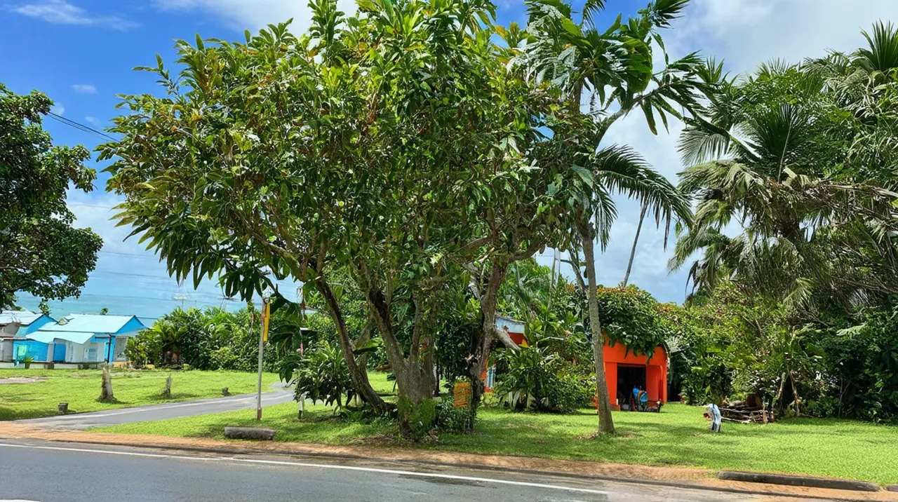 Paramaribo 3-Day Itinerary: Explore Suriname’s Capital