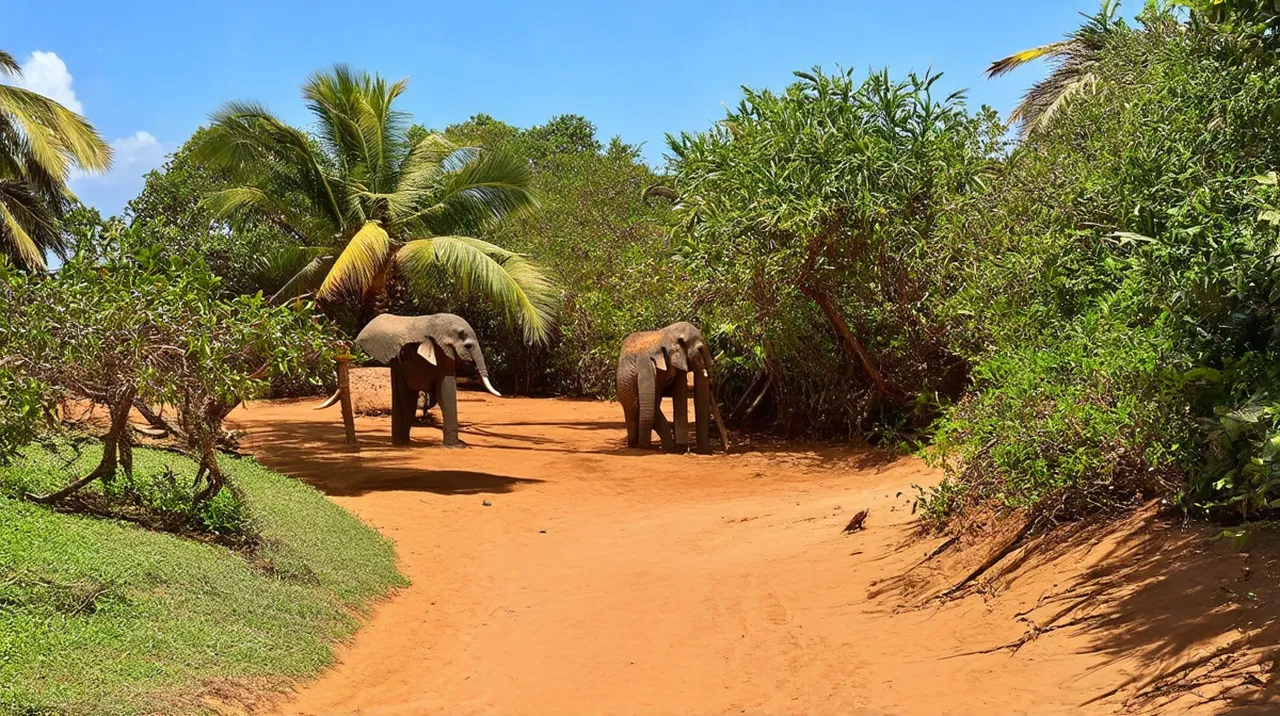 Pemba Weekend Itinerary: Explore Paradise in 3 Days