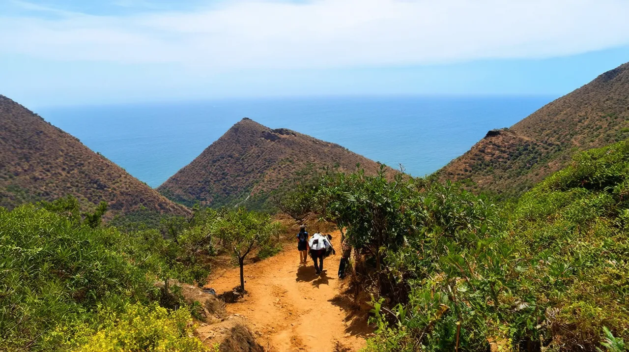 Pinhão 5-Day Itinerary: Explore the Douro Valley