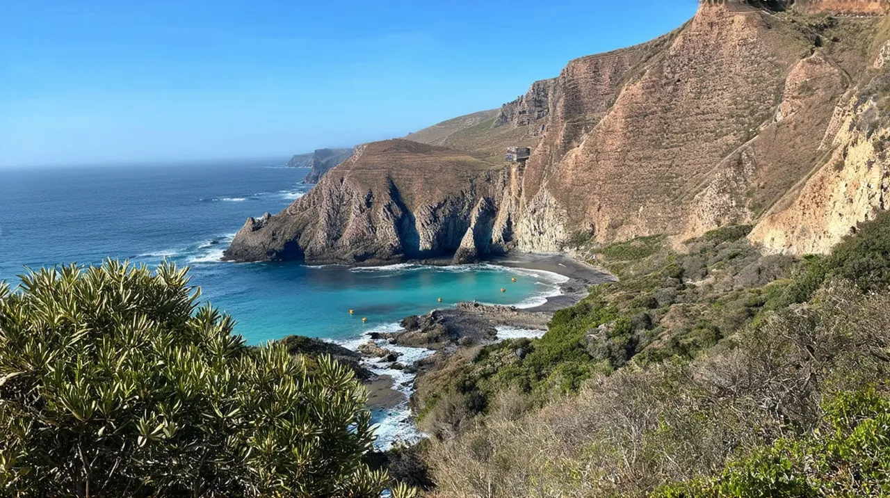 Plettenberg Bay 3-Day Itinerary: Explore Nature’s Paradise