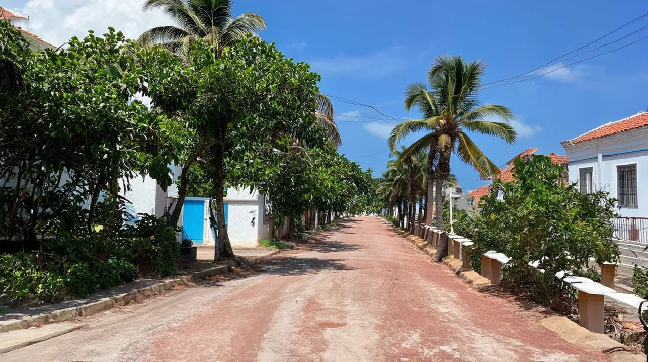 Port-au-Prince & Around 5-Day Itinerary: Uncover Haiti