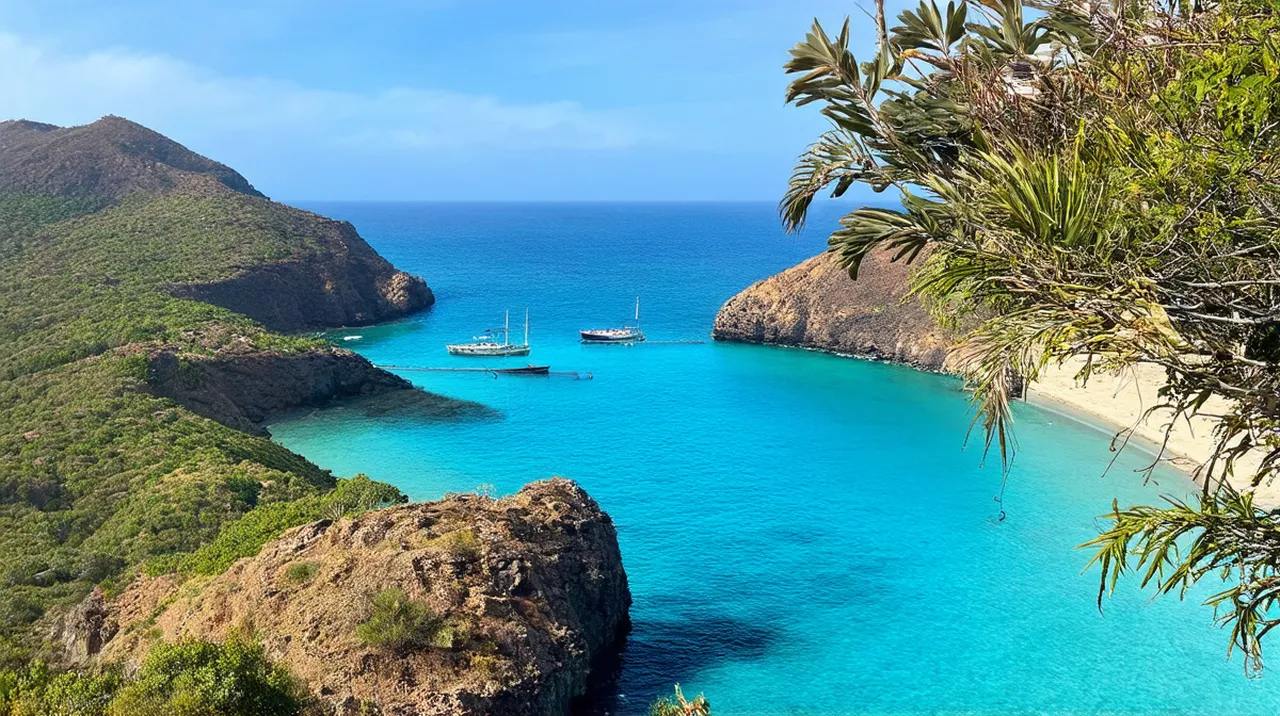 Puerto Jiménez 5-Day Itinerary: Explore Costa Rica’s Paradise