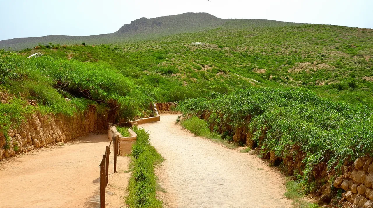 Salalah 3-Day Itinerary: Explore Oman’s Jewel