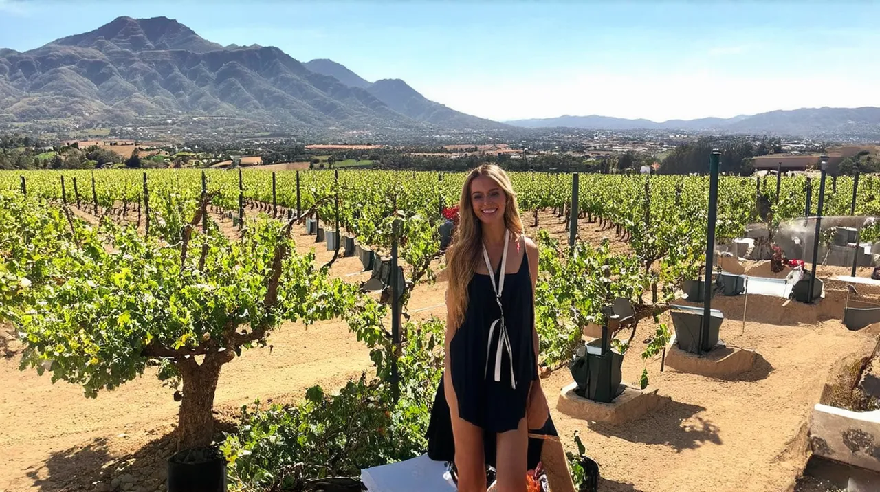 Stellenbosch 3-Day Itinerary: Explore the Cape Winelands