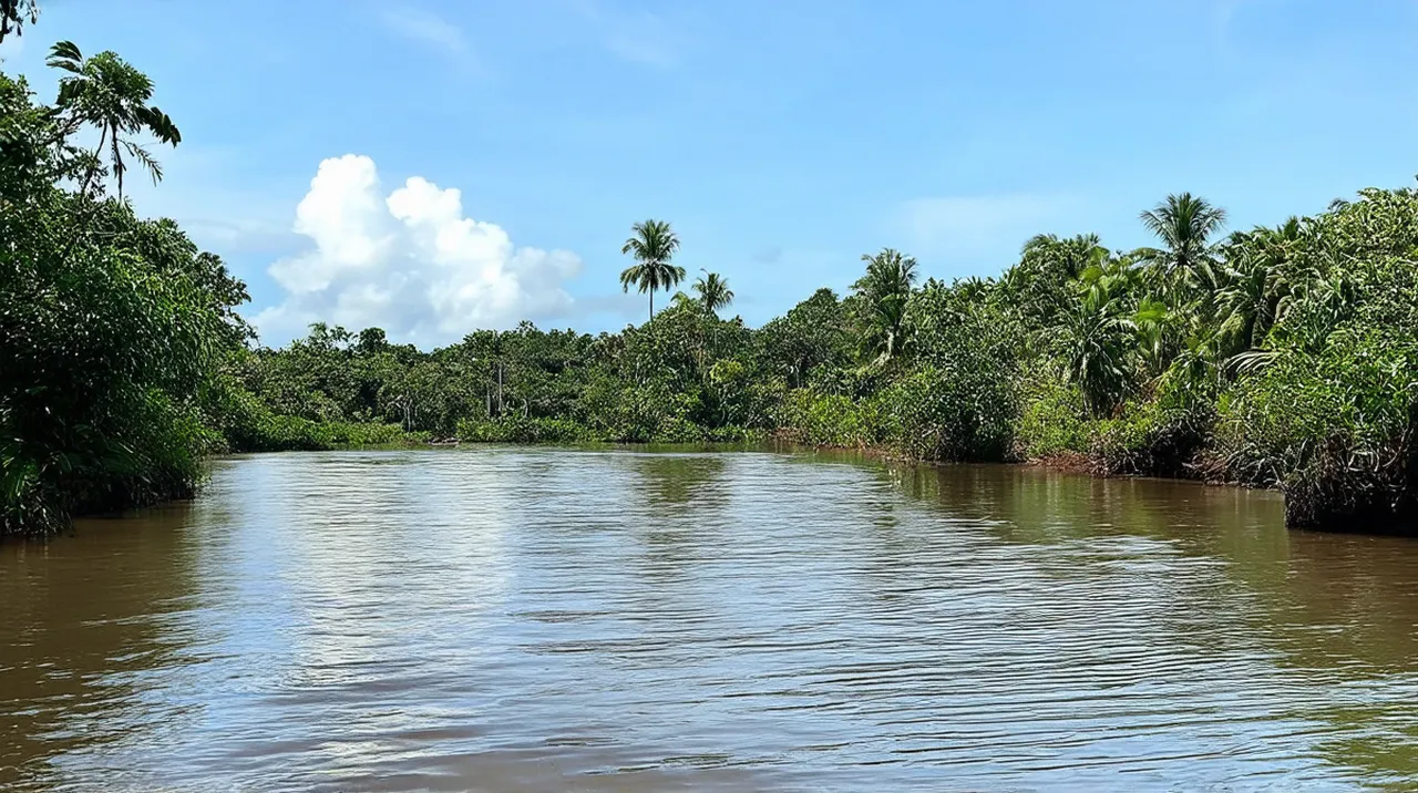 Tortuguero Village 5-Day Itinerary: Explore Nature’s Paradise