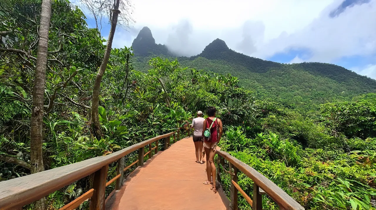 Uvita Weekend Itinerary: Explore Costa Rica’s Paradise