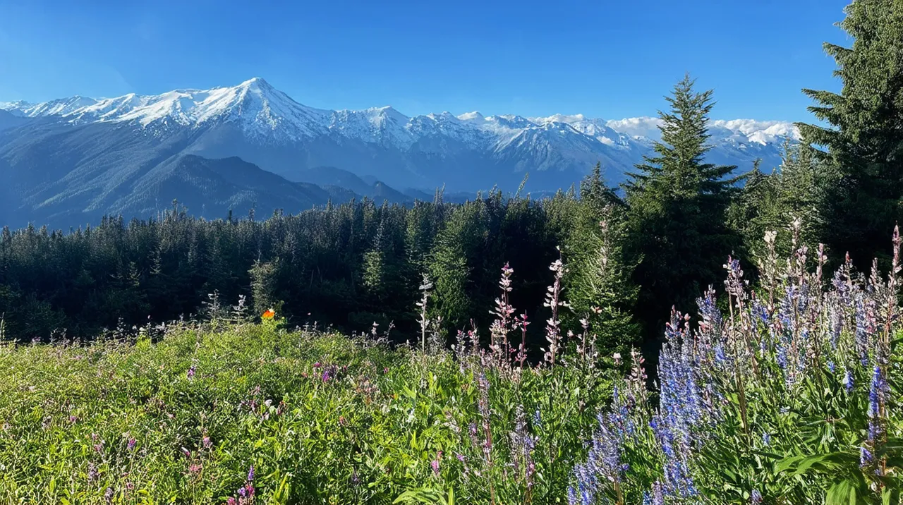 Whistler 5-Day Itinerary: Your Ultimate Mountain Escape