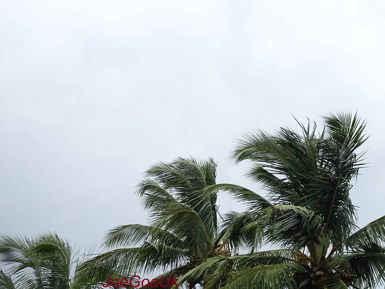 3. Day 3: Enjoy Scenic Beauty at Miramar Beach and Dona Paula