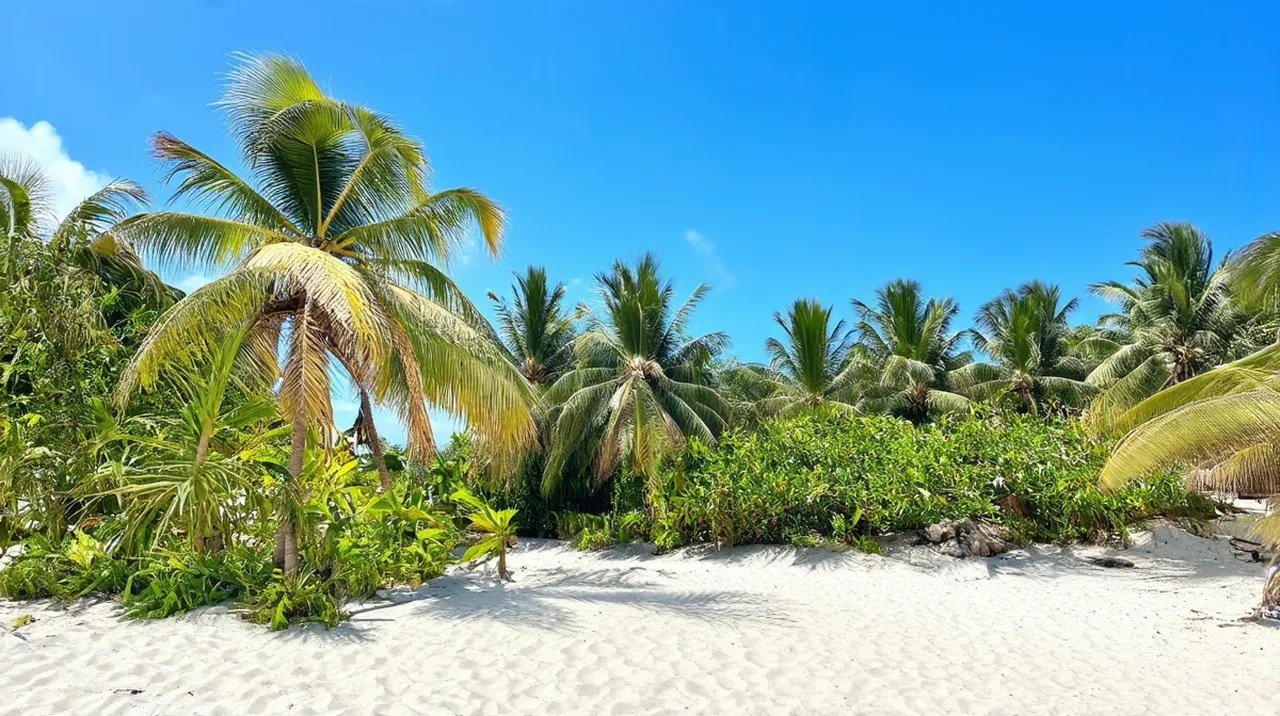 Malindi 5-Day Itinerary