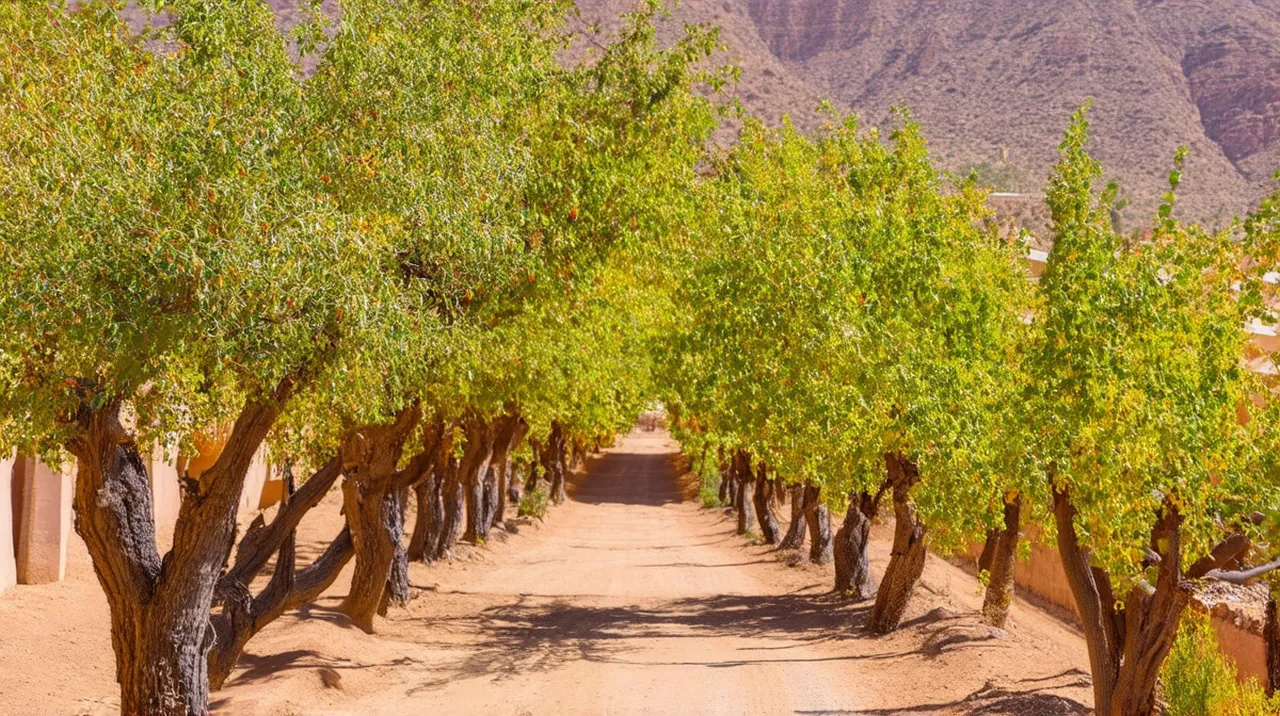 Mendoza Weekend Itinerary