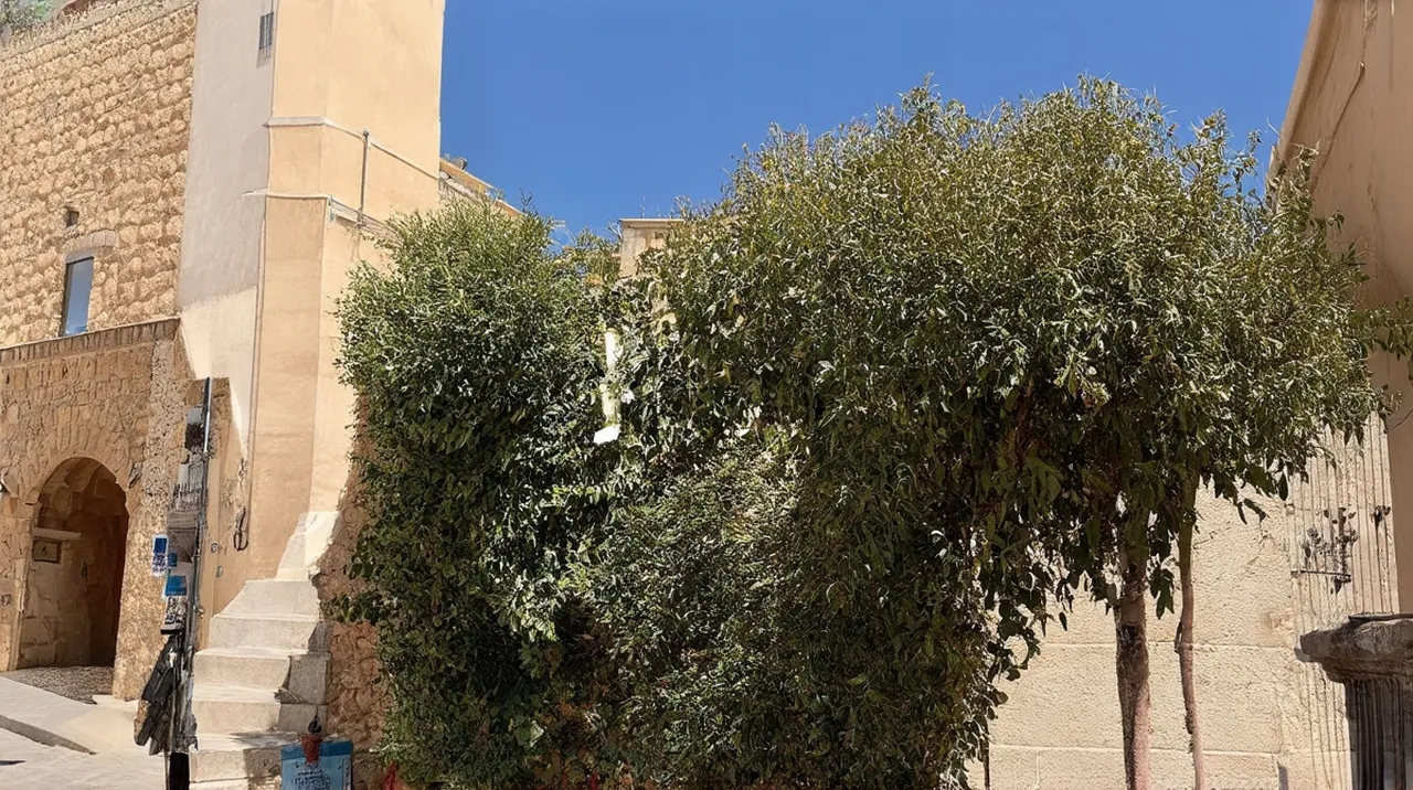Nicosia (Lefkosia) Weekend Itinerary