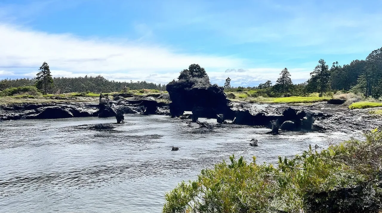Rotorua 5-Day Itinerary