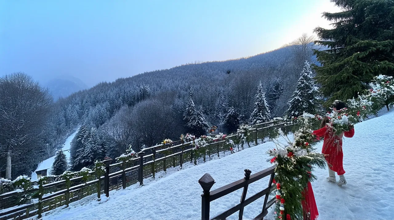 Shimla Itinerary for Couples